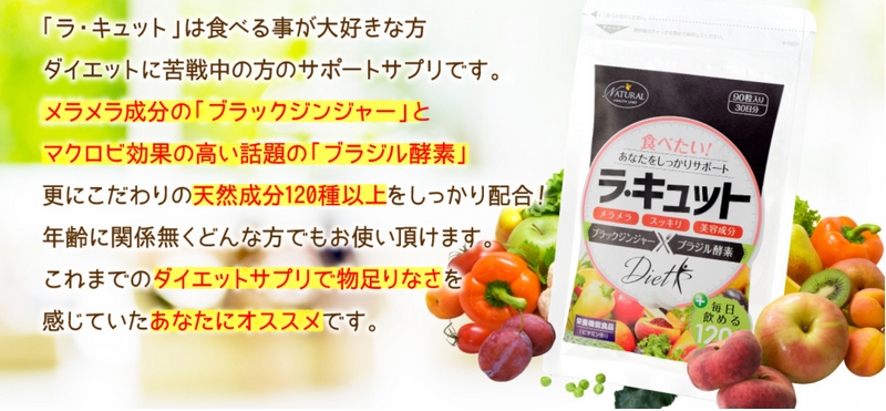 ���E�L���b�g���������T�C�g